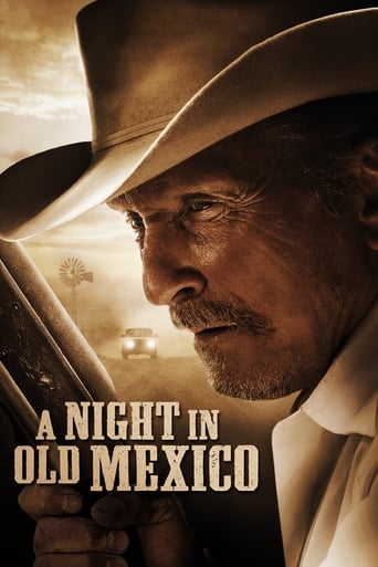 A Night in Old Mexico 2013 (شبی در مکزیک)