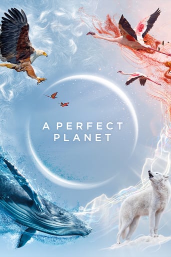 دانلود سریال A Perfect Planet 2021 (یک سیاره بی نقص) دوبله فارسی بدون سانسور