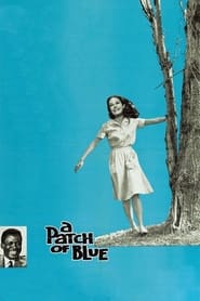 دانلود فیلم A Patch of Blue 1965 دوبله فارسی بدون سانسور