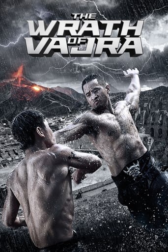 دانلود فیلم The Wrath of Vajra 2013 دوبله فارسی بدون سانسور