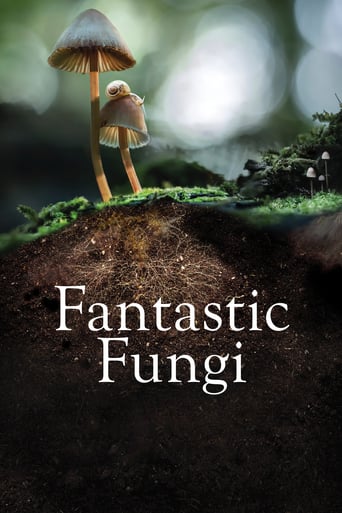 دانلود فیلم Fantastic Fungi 2019 (قارچ فوق العاده) دوبله فارسی بدون سانسور