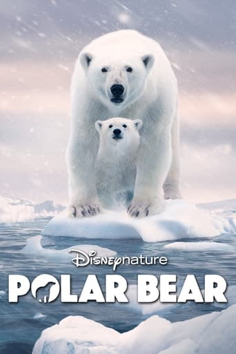 Polar Bear 2022 (خرس قطبی)