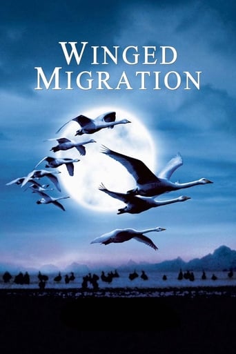 دانلود فیلم Winged Migration 2001 دوبله فارسی بدون سانسور